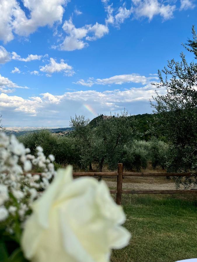 Agriturismo Belagaggio Montefollonico Exterior foto