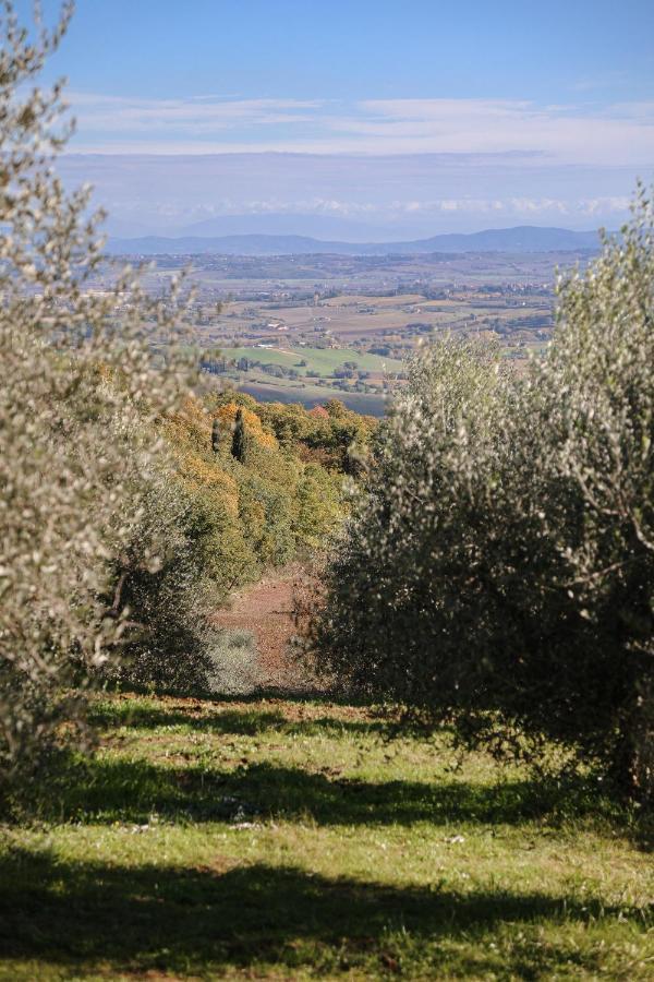Agriturismo Belagaggio Montefollonico Exterior foto